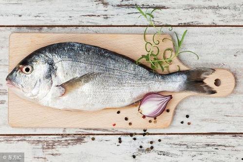 小鱼爱吃鱼吃瓜视频大全,趣味视频大全，鱼儿吃瓜笑翻天