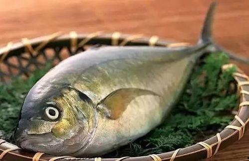 小鱼爱吃鱼吃瓜视频大全,趣味视频大全，鱼儿吃瓜笑翻天