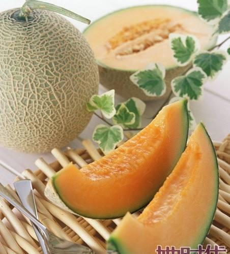 鹅会吃哈密瓜吗视频教程,揭秘鹅是否会享用哈密瓜