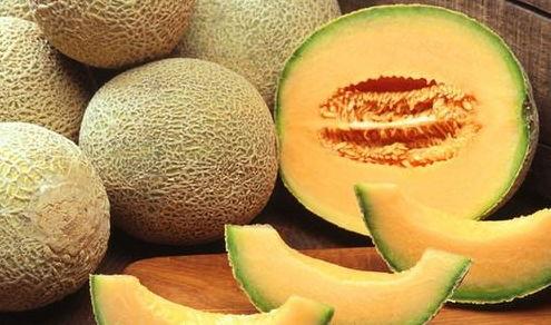 鹅会吃哈密瓜吗视频教程,揭秘鹅是否会享用哈密瓜