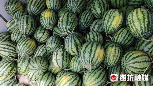 前几天吃瓜的视频,幕后真相大曝光！