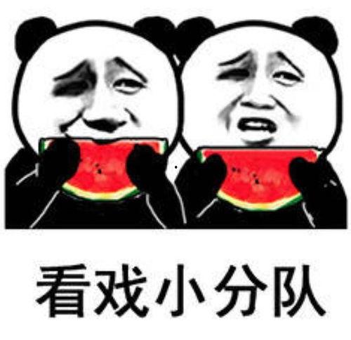 吃瓜表情包的介绍视频,揭秘网络流行文化的魅力瞬间