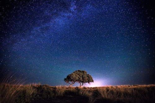 星空瓜怎么吃才好吃视频,视频教你轻松解锁最佳口感