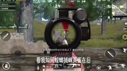 吃鸡视频呆瓜,欢乐搞笑，带你领略游戏魅力