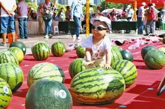 泰国三人吃瓜视频网站大全,泰国热门三人吃瓜视频网站大盘点