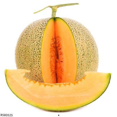 甲虫吃哈密瓜视频播放,哈密瓜美食盛宴现场直播