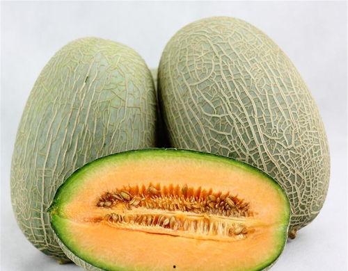 甲虫吃哈密瓜视频播放,哈密瓜美食盛宴现场直播