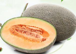 哈密瓜1岁可以吃吗视频,营养美味，助力健康成长