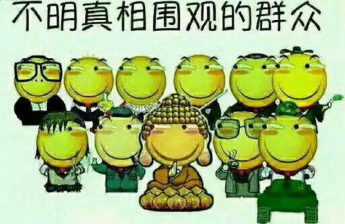 吃瓜群众阿星阿奇视频,揭秘娱乐圈幕后故事