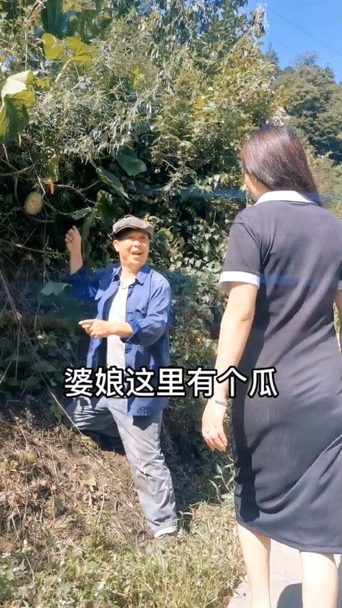 快乐吃瓜搞笑视频下载