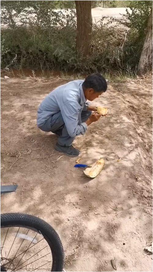 伽师吃瓜视频全集,揭秘瓜界风云，笑料百出全集回顾