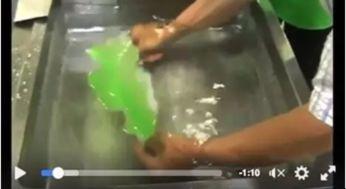 吃瓜视频真实吗安全吗,真实与安全的双重考量