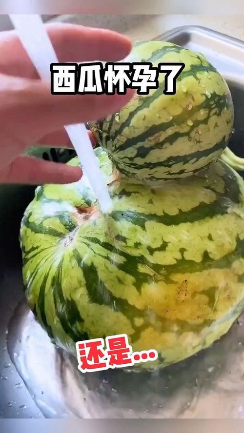 吃瓜搞怪配音视频下载安装