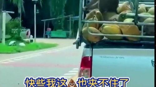 吃瓜搞怪配音视频下载安装